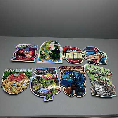 Đặc biệt hình dạng in đinh Die cắt Mylar túi ziplock